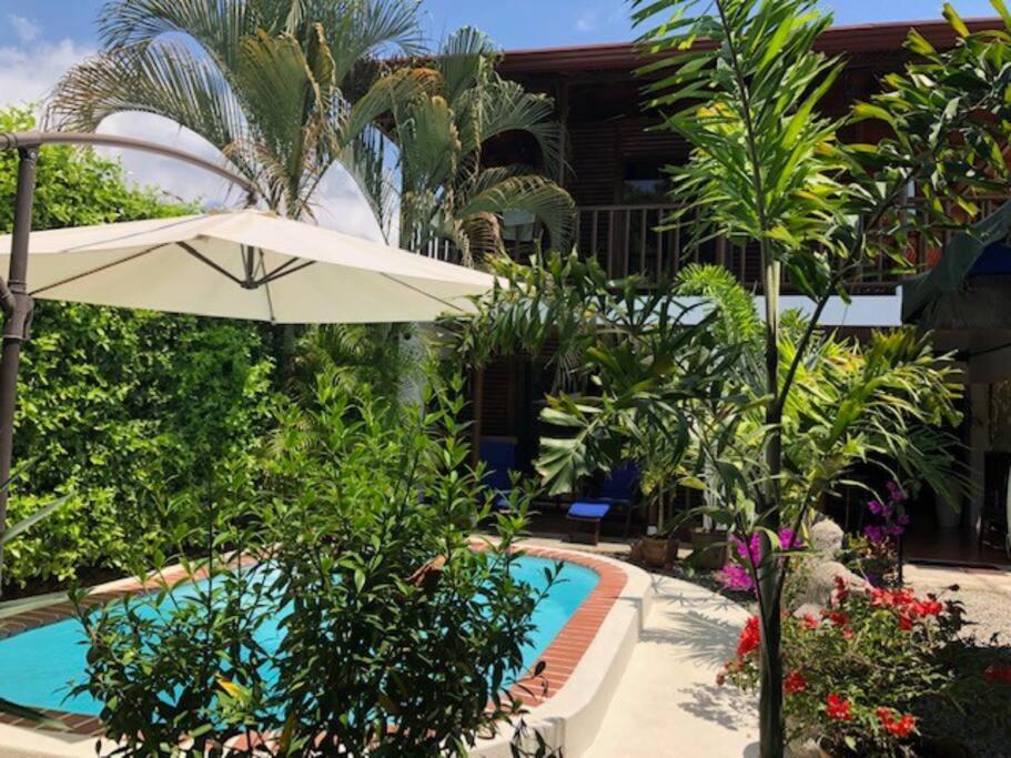 Casa Toucan Mit Privat Pool Near Np Ballena 우비타 외부 사진