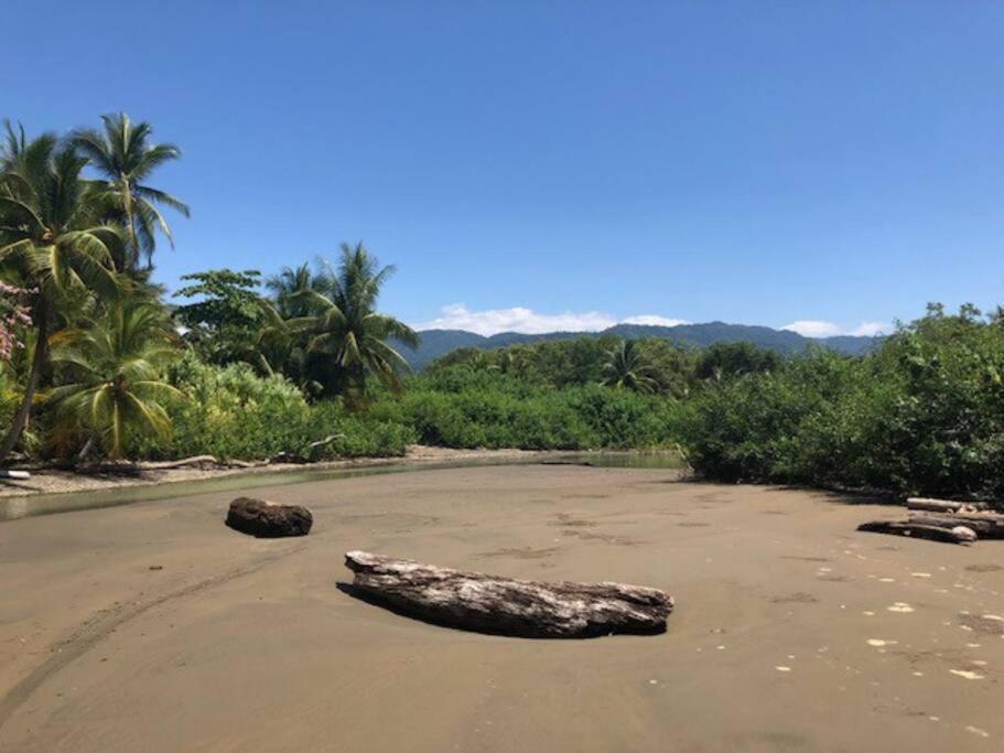 Casa Toucan Mit Privat Pool Near Np Ballena 우비타 외부 사진
