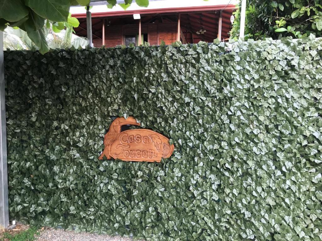 Casa Toucan Mit Privat Pool Near Np Ballena 우비타 외부 사진