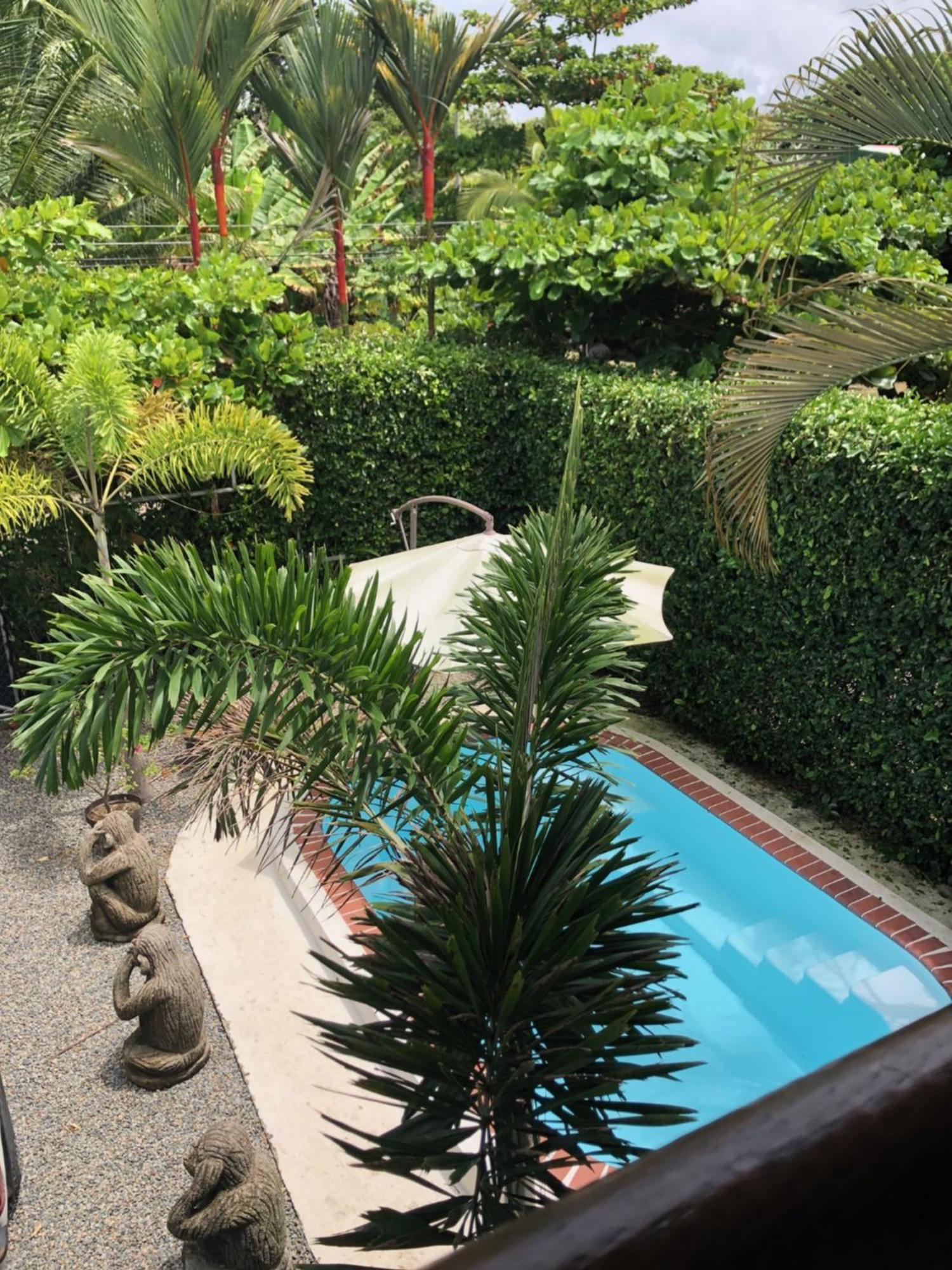 Casa Toucan Mit Privat Pool Near Np Ballena 우비타 외부 사진