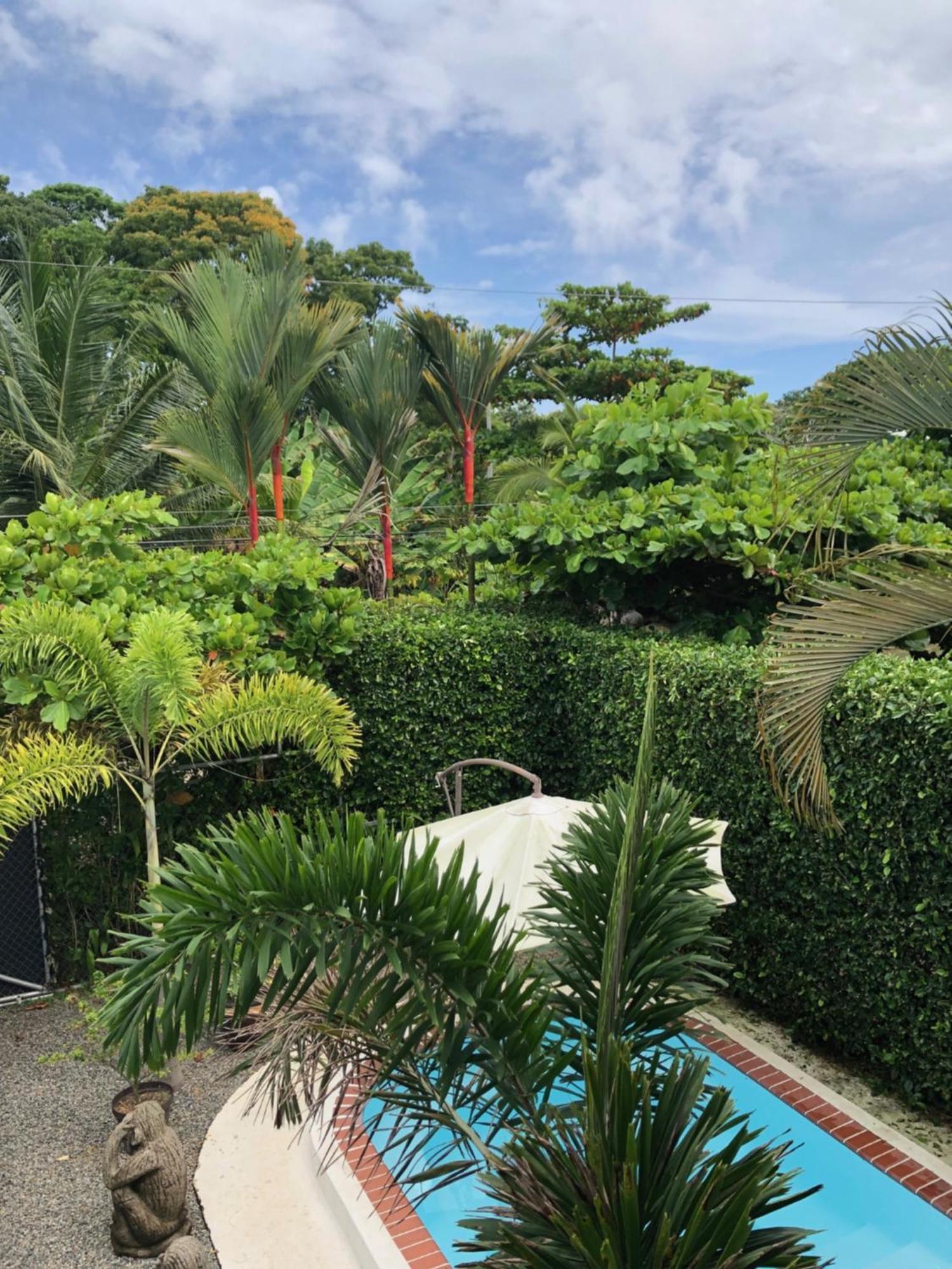 Casa Toucan Mit Privat Pool Near Np Ballena 우비타 외부 사진
